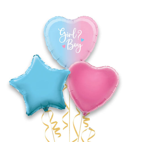 Gender Party Boy or Girl Foil Balloons Set